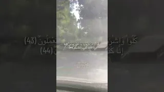 سورة المرسلات الشيخ أحمد خليل شاهين 