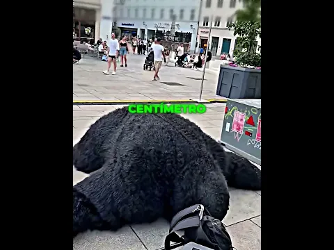 Se disfraza de gorila en la plaza 🦍