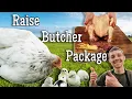 Complete Guide to Raising Meat Chickens
