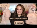CALPAK FIRST IMPRESSIONS REVIEW IS THE LUNCH BAG WATER BAG WORTH THE HYPE