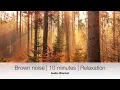 Download Lagu 10 Minutes Brown Noise for Deep Relaxation \u0026 Stress Relief | Audio Blanket