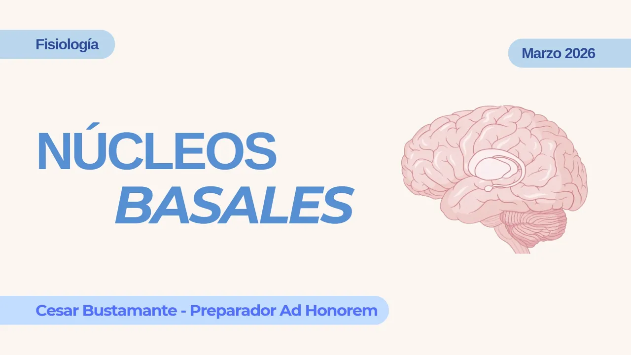 Núcleos Basales // Cesar Bustamante