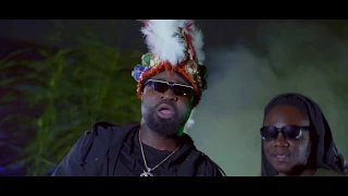 wallzee x harrysong pabo remix official video