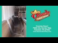 Coming Soon Oscars Taco Shop Fairview TN 2017