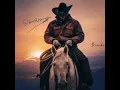 Bartel Union - Western Feel