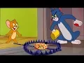 Download Lagu Tom and Jerry 2018 | Poor Cat | Cartoon For Kids