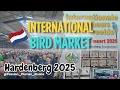 Lagu International BIRD MARKET Hardenberg 🇳🇱  Netherlands 2025 🦜🐦