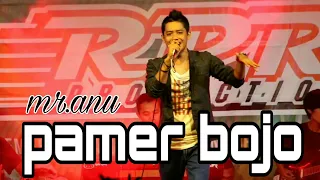 Download MR.ANU - PAMER BOJO - RPR PRO LIVE GUNUNGSARI,KARANG MOJO MP3