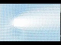 animation Quiver plot