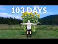 Download Lagu Giant Sunflowers Time-lapse