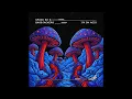Bassjackers & Space 92 - I'm On Acid (Extended Mix)