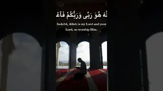 إن الله هو ربي وربكم فاعبدوه آيات تحث على التوحيد للشيخ عبدالباسط عبد الصمد 