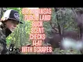 Public Land Big Mature Buck - Bow Hunting Arkansas