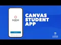 2024 - Canvas App