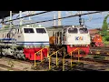 Download Lagu PASUKAN KERETA API DI STASIUN TERSIBUK PULAU JAWA ! Ada Lokomotif Livery Spesial \u0026 Kereta Luar Biasa