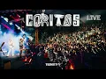 Download Lagu Trinity (NL) - Coritos Medley (Live From Peru)
