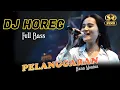 Download Lagu DJ HOREG PELANGGARAN - HANA MONINA - SERA LIVE GELORA JOKO SAMUDRO GRESIK