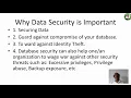 DATA PROCESSING DATABASE SECURITY CHUKWUMA CHIBUIKE