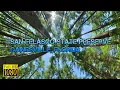 Going for a Hike at San Felasco State Preserve in Gainesville FL - Trails for Horses Hikes Bikes