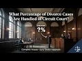 What Percentage of Divorce Cases Are Handled in Circuit Court