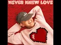 Never Knew Love (feat. Enisa) (Extended)