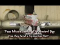 Two Idiots and a 3D Printed Jig Can they bend a G3 receiver flat