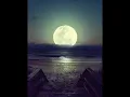 Maxwell - Till the Cops ... (extended)
