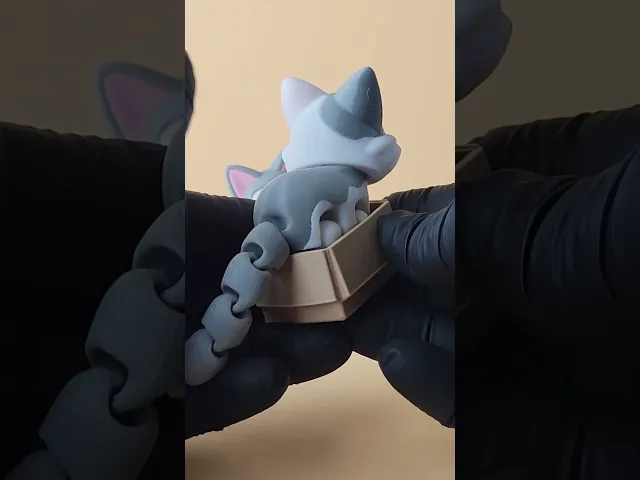 Purry - Cute Flexi Cat with Bonus Box! video thumbnail