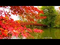 Download Lagu *** -  BEAUTIFUL AUTUMN -  Music SERGEY GRISCHUK - ***