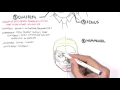 Headache - Overview types signs and symptoms treatment