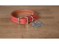 How To Attach A Hanging ID Tag Onto A Dog Collar