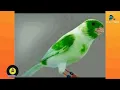 Download Lagu #الرطيطبين_جهلوا_الحرارة_مدام_كلاوزة_لامجادلة_بنو_كلبون_الملحدين