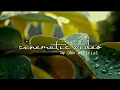 Download Lagu test cinematic video alam | cinemaatic pagi hari