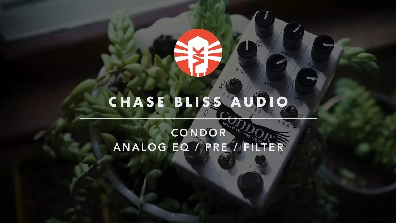 Chase Bliss Audio Condor - Vintage King