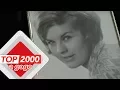 Download Lagu The Cats – Lea | Het verhaal achter het nummer | Top 2000 a gogo