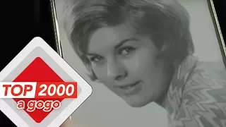 the cats lea het verhaal achter het nummer top 2000 a gogo