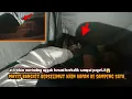 Download Lagu CAMPING HORROR PANIK ADA MAYIT BANGKIT DI SAMPAI MAU BERBALIK TAPI NGGAK BERANI SAMPAI PEGEL..