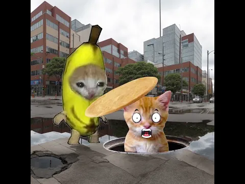 Life is never calm in Banana Cat universe 😸