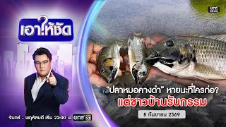 🔴 Live #เอาให้ชัด | "ปลาหมอคางดำ" หายนะใครก่อ? แต่ชาวบ้านรับกรรม | 8 ก.ย.69 | ข่าวช่องวัน | One31