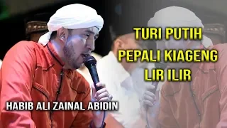 Download Habib Ali Zainal Abidin \u0026 Az zahir Turi putih   Pepali Kiageng  lir ilir MP3