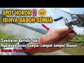 Download Lagu HERAN‼️KOK BISA IKAN DISINI GAK ADA YANG KECIL‼️😱BESAR SEMUA‼️CASTING DI SPOT P3R4WAN WONOGIRI