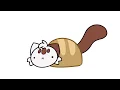 Download Lagu a day in the life of a cat
