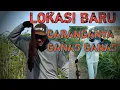 Download Lagu BERBURU GARANGAN | lokasi baru belum pernah dijontrot // sangat ganas