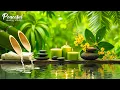 Download Lagu Relaxing Music for Stress Relief 🌿 Beautiful Piano Music and Water Sounds, Spa, Massage \u0026 Yoga Music