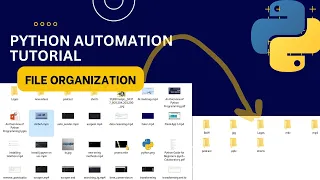 Python Automation Automatic File Organization Script