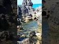 Download Lagu Beautiful view with rockformation and many anchovies on the side#asrm