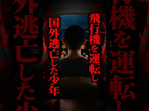 【実話】12歳で有罪判決を受けた少年→独学で飛行機を操縦！？警察から2年間逃げ続けた末路とは... #shorts