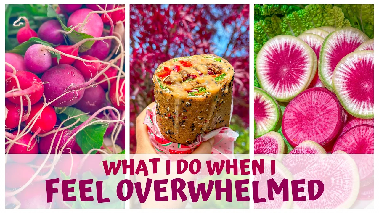 WHAT I DO WHEN I FEEL OVERWHELMED - RAW VEGAN DIET & HEALTHY HABITS