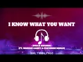 Lagu I KNOW WHAT YOU WANT (LYRICS) - BUSTA RHYMES FT. MARIAH CAREY \u0026 FLIPMODE SQUAD