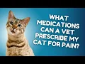 What Are the Medications That My Veterinarian Can Prescribe if My Cat is in Pain Vet FAQs